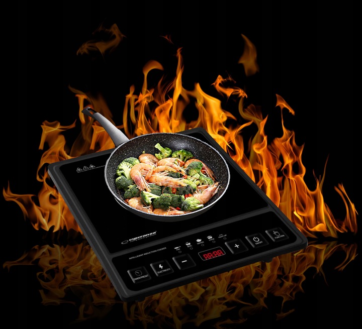 PŁYTA INDUKCYJNA KUCHENKA ELEKTRYCZNA 2000W TIMER