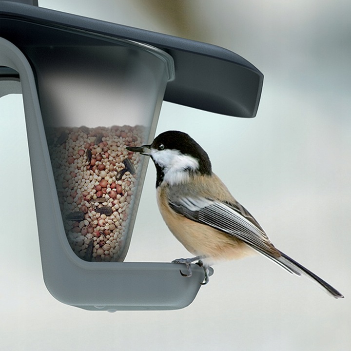 Karmnik dla ptaków - Birdyfeed double