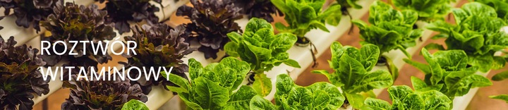 SUPERTHRIVE 120ml - witaminy i hormony dla roślin