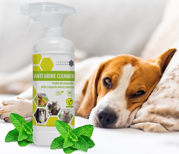 NEUTRALIZATOR POCHŁANIACZ ZAPACHÓW MOCZU PSA 1L ISOKOR ANTI URINE NATURALNY