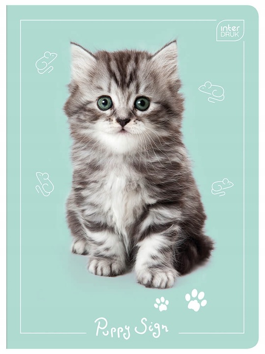 4 X ZESZYT A5, 32 KARTKI, KRATKA Z MARGINESEM, SŁODKIE KOTKI I PIESKI