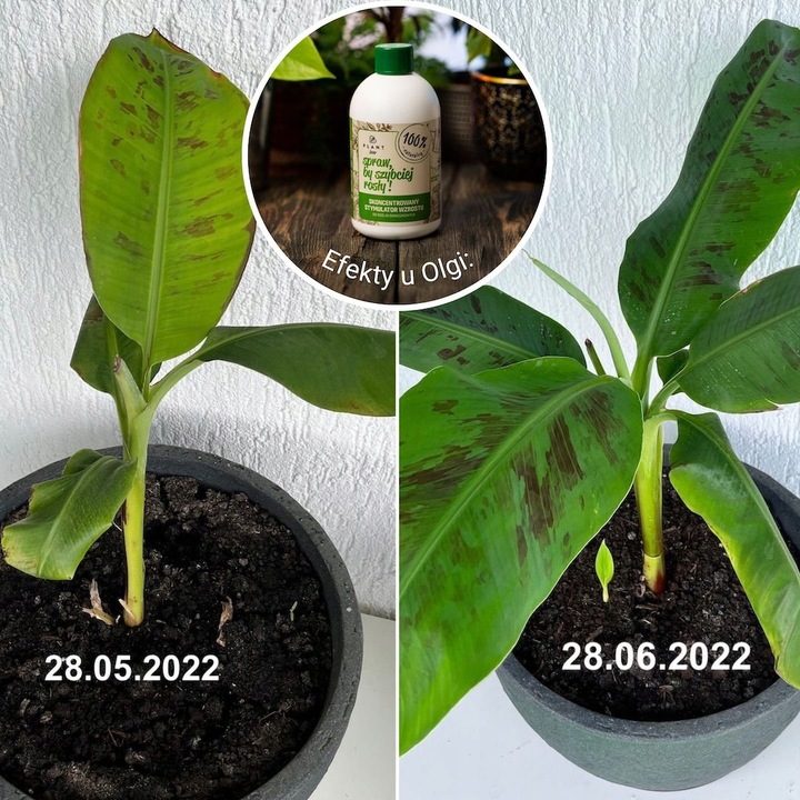 Spraw, by szybciej rosły 500 ml | Plant lover| stymulator wzrostu do roślin