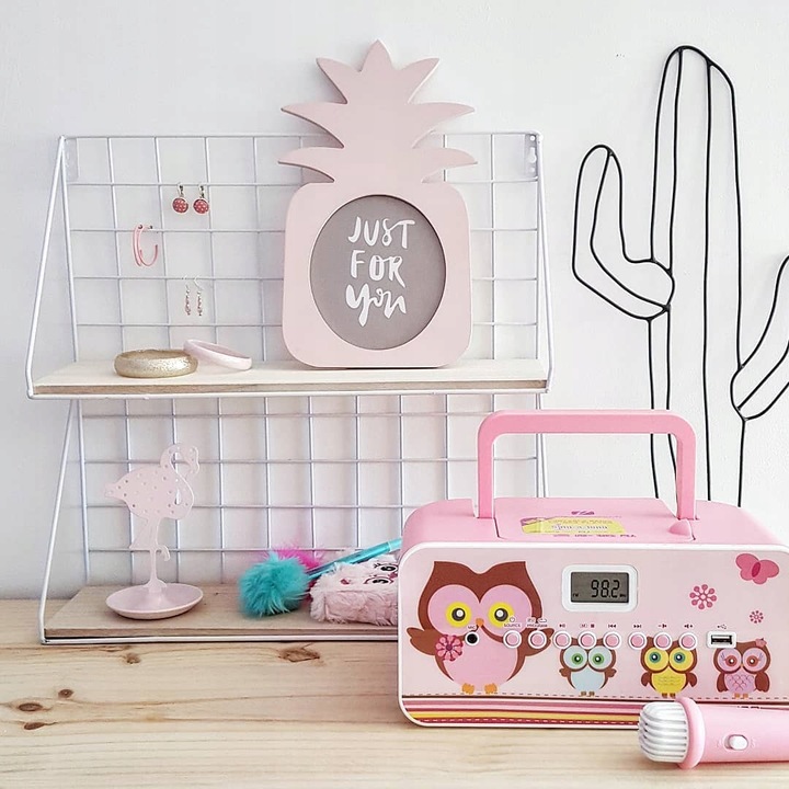 RADIOODTWARZACZ Z MIKROFONEM DLA DZIECI DZIEWCZYNKI CD USB MUSE M-29 KP