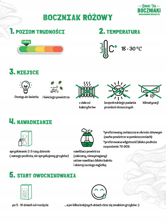 Zestaw do uprawy grzybów SNB boczniak różowy