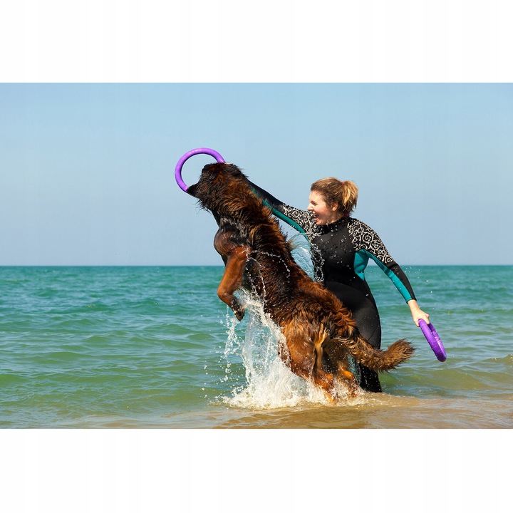 Szarpak dla psa PULLER Standard 28 cm - Zabawka 2 ringi dla dużych ras psów