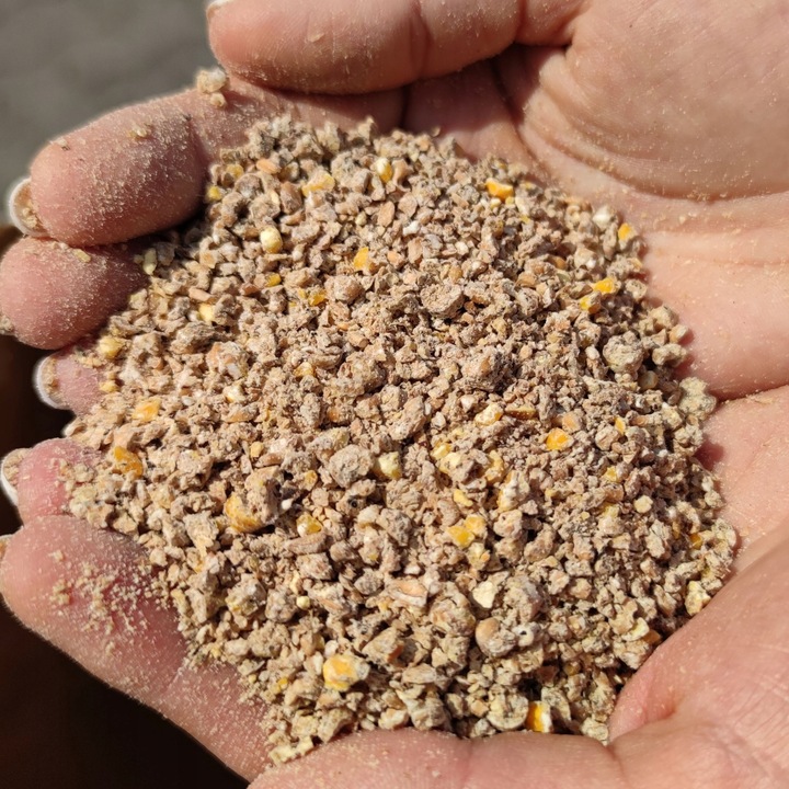 Karma DJ z Podlasia dla kur niosek kruszonka