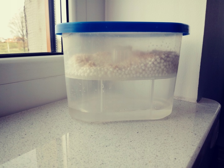 Pochłaniacz wilgoci, osuszacz stojący , zestaw 7 sztuk