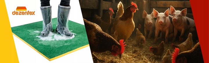 MATA DEZYNFEKCYJNA 100X60X2,8CM EKO_PLUS + GRATIS!