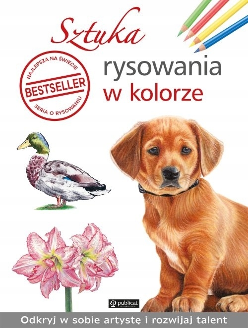 Sztuka rysowania w kolorze