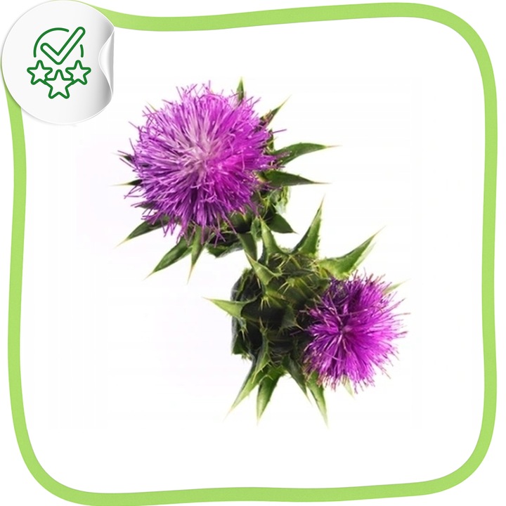 Olej z ostropestu tłoczony na zimno na wątrobę naturalny zdrowy 1L 2x500ml