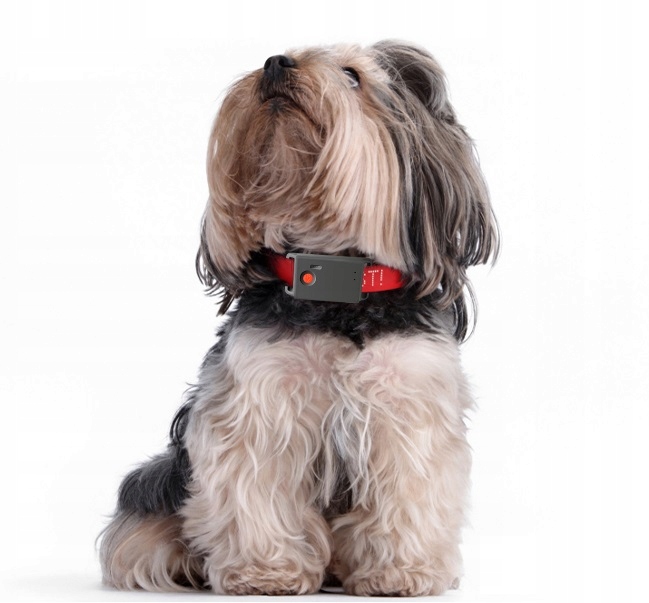 MINI LOKALIZATOR GPS TRACKER SINOTRACK ST904 PODSŁUCH SOS 15DNI 1200mah APP