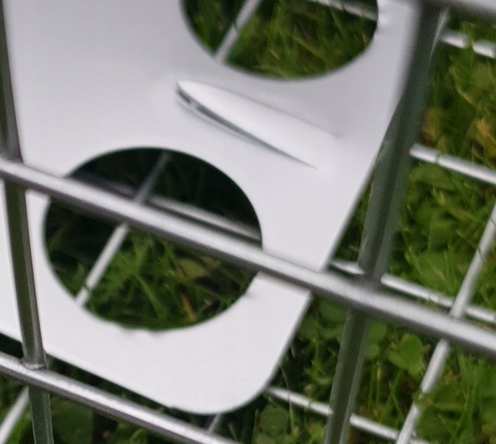 żywołapka pułapka na szczury gryzonie szczurołapka