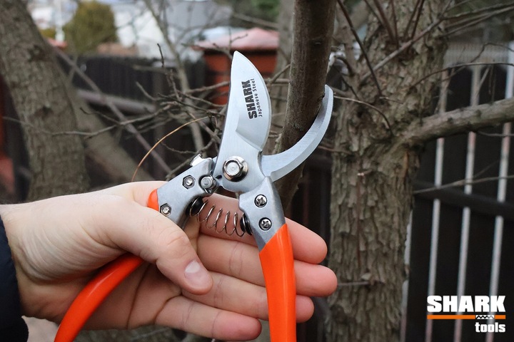 SEKATOR DO GAŁĘZI RĘCZNY NOŻYCOWY Shark G1 ogrodowy do cięcia 22 cm