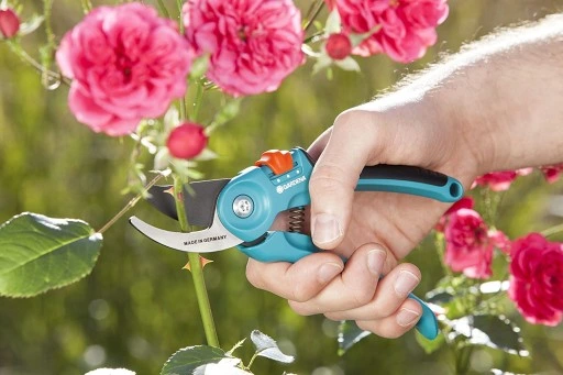 Sekator nożyce ogrodowy GARDENA Classic B/S-M