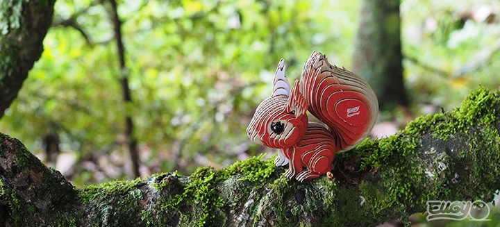 Wiewiórka Eugy. Eko Układanka 3D