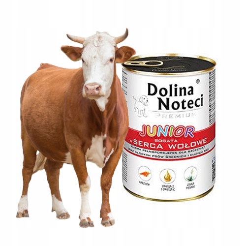 DOLINA NOTECI Premium JUNIOR Mix smaków 12x 400g