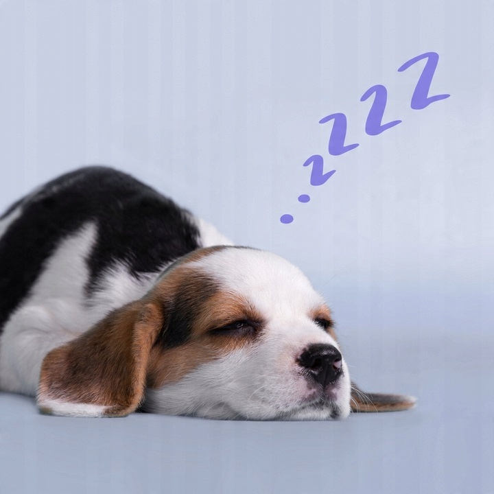 SUPLEMENT USPOKAJAJĄCY na STRES dla PSA Relax Formula Dog