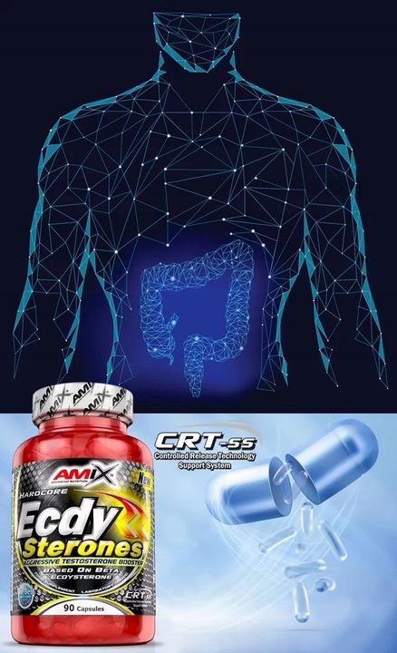 Booster Testosteronu, Libido - ecdysteroidy ECDYSTERON TESTOSTERON TABLETKI