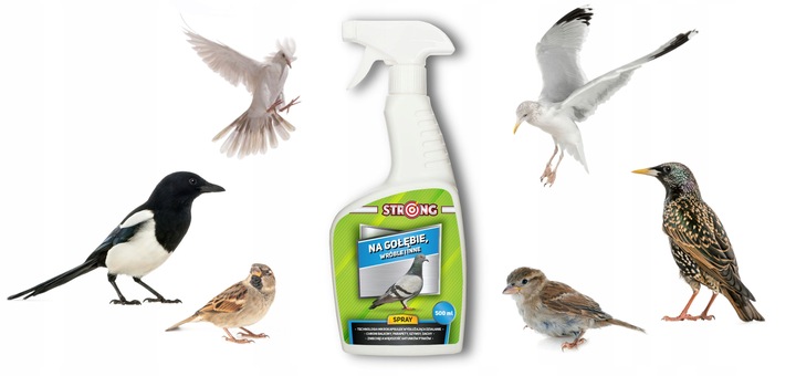 ZESTAW DO ODSTRASZANIA PTAKÓW GOŁĘBIE WRÓBLE MEWY