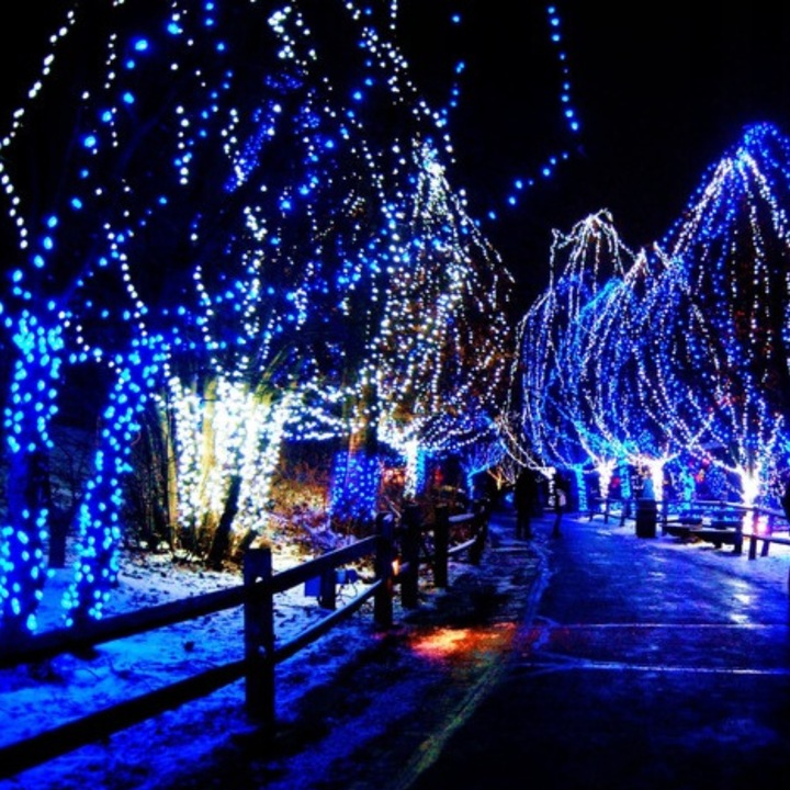 LAMPKI CHOINKOWE 300 LED STAŁE + FLASH ZEWNĘTRZNE ŚWIATEŁKA IP44 NIEBIESKIE