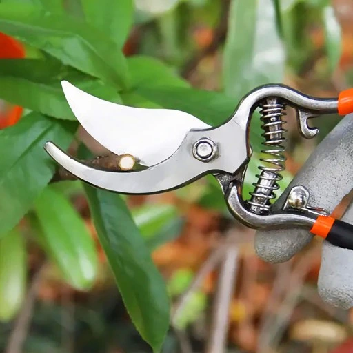 SEKATOR NOŻYCOWY OGRODOWY RĘCZNY DO GAŁĘZI KWIATÓW KRZEWÓW PĘDÓW MOCNY