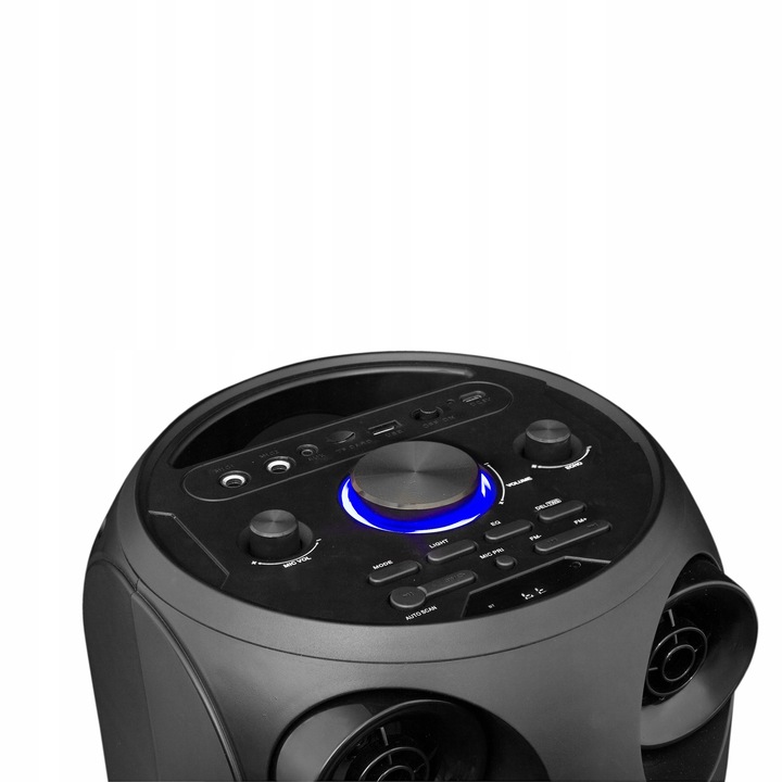 Moevi Duży głośnik 70 W przenośny, kolumna karaoke z mikrofonem, 63 cm