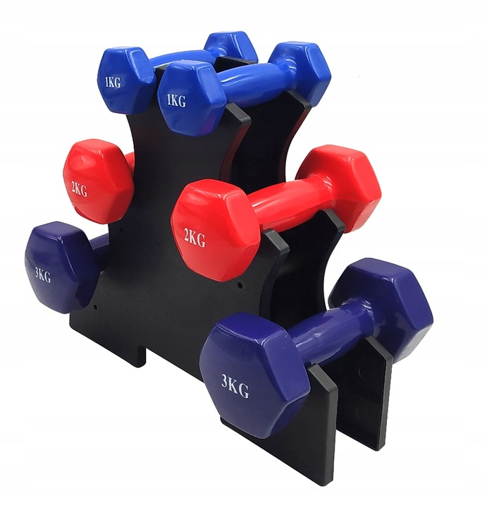 ZESTAW HANTLI DO ĆWICZEŃ HANTLE HANTELKI CIĘŻARKI FITNESS 6szt 12kg STOJAK