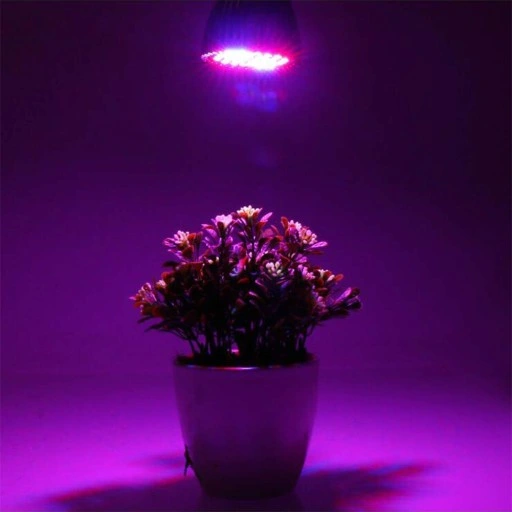 ŻARÓWKA LED GROW LIGHT DO UPRAWY ROŚLIN 80W E27