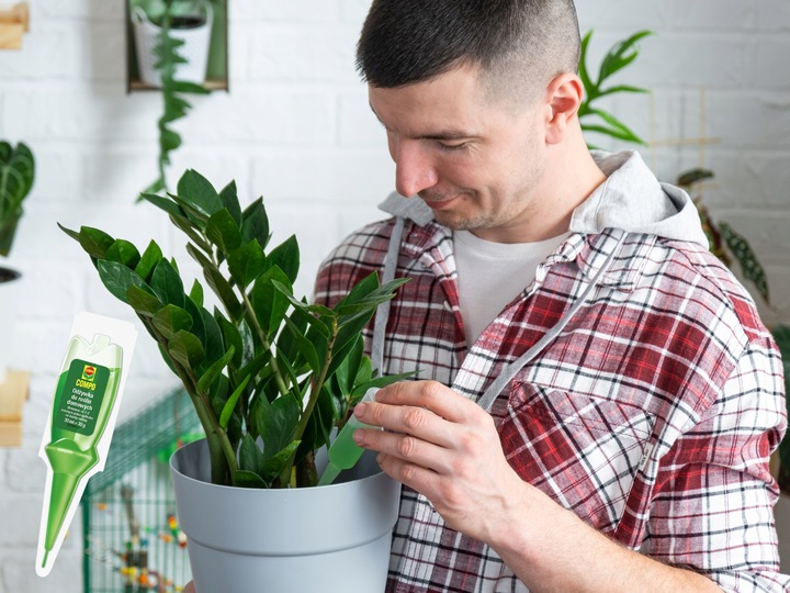 Nawóz Odżywka do Roślin Domowych 10x30ml Aplikator Compo