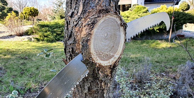 PIŁA DO CIĘCIA GAŁĘZI DREWNA NA WYSIĘGNIKU Z HAKIEM TELESKOPOWA 3M RĘKAWICE