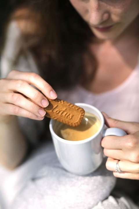 Ciastka LOTUS BISCOFF Karmelizowane 3x250g + Krem