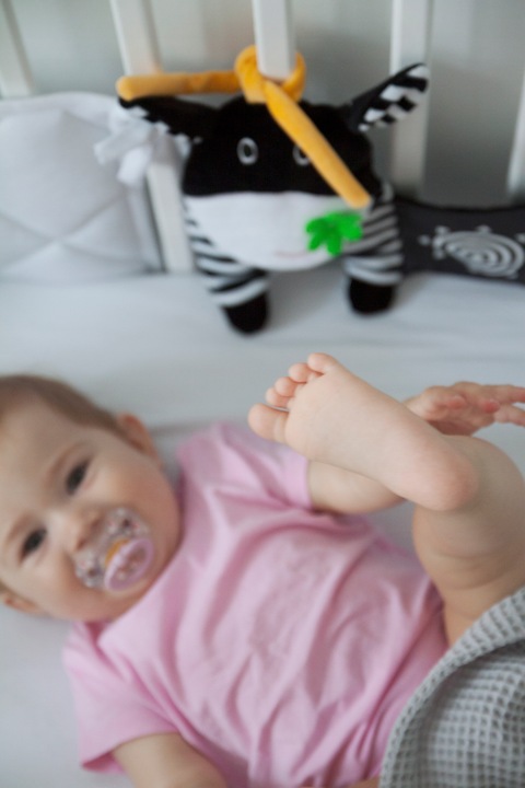 Książeczka KONTRASTOWA Dla Niemowląt Do Łóżeczka