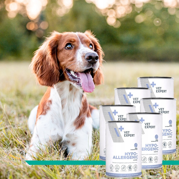 ZESTAW VET EXPERT HYPOALLERGENIC mokra karma weterynaryjna dla psa 6x400g