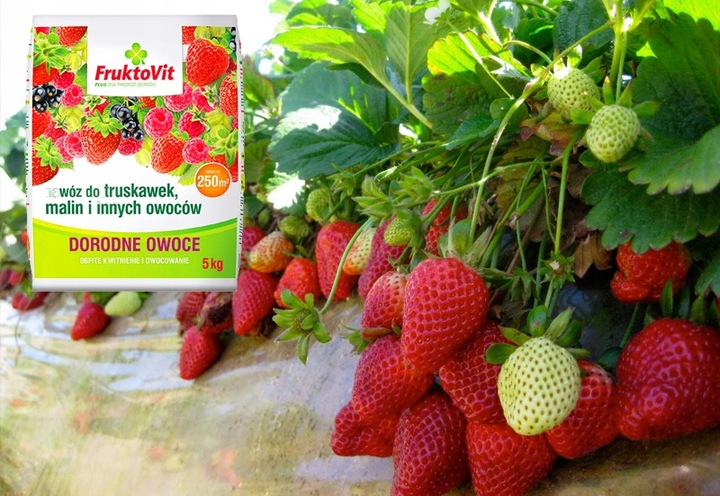 NAWÓZ DO TRUSKAWEK MALIN JEŻYN WIOSENNY FRUKTOVIT PLUS OBFITE PLONY 5 KG