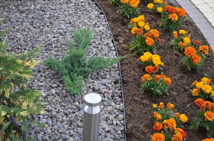 OBRZEŻE TRAWNIKOWE OGRODOWE 5,8cm PALISADA EKO BORDER 58mm 20m + 100 KOTEW