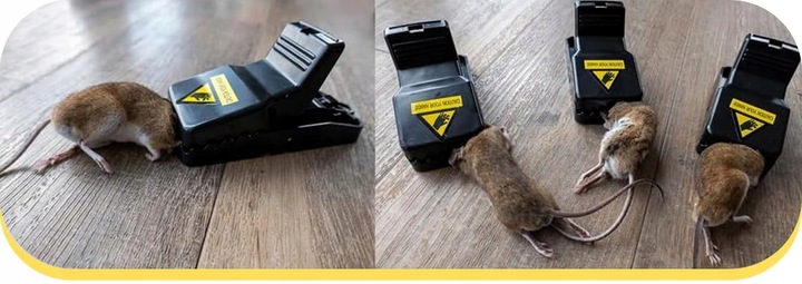 PUŁAPKA NA MYSZY MOCNY ZATRZASK GILOTYNA ZESTAW 6 SZTUK !!!! ŁAPKA NA MYSZY