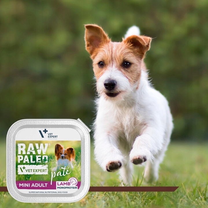 Mokra karma dla psów dorosłych małych ras jagnięcina Raw Paleo Pate 12x150g