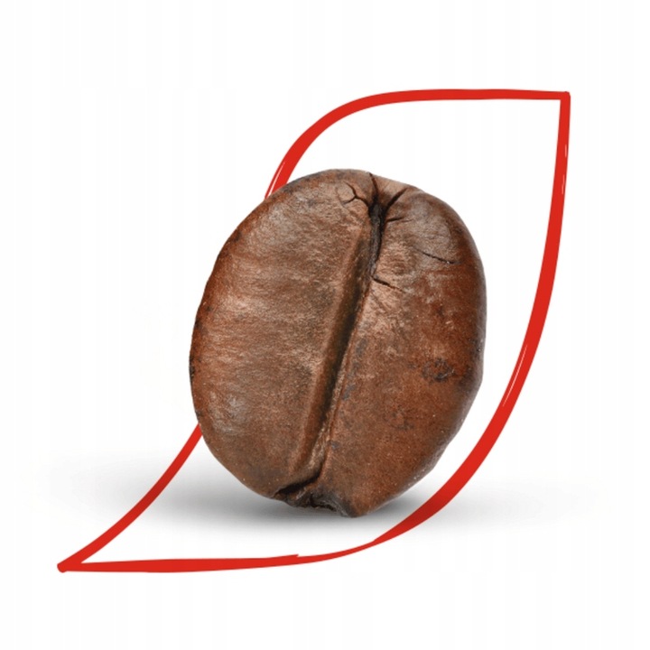 KAWA NESCAFE CLASSIC w saszetkach 100 x 2g