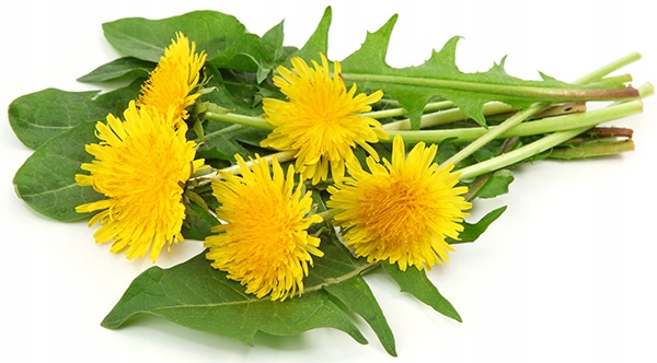 Nutergia Ergydetox Suplement diety 60 kapsułek