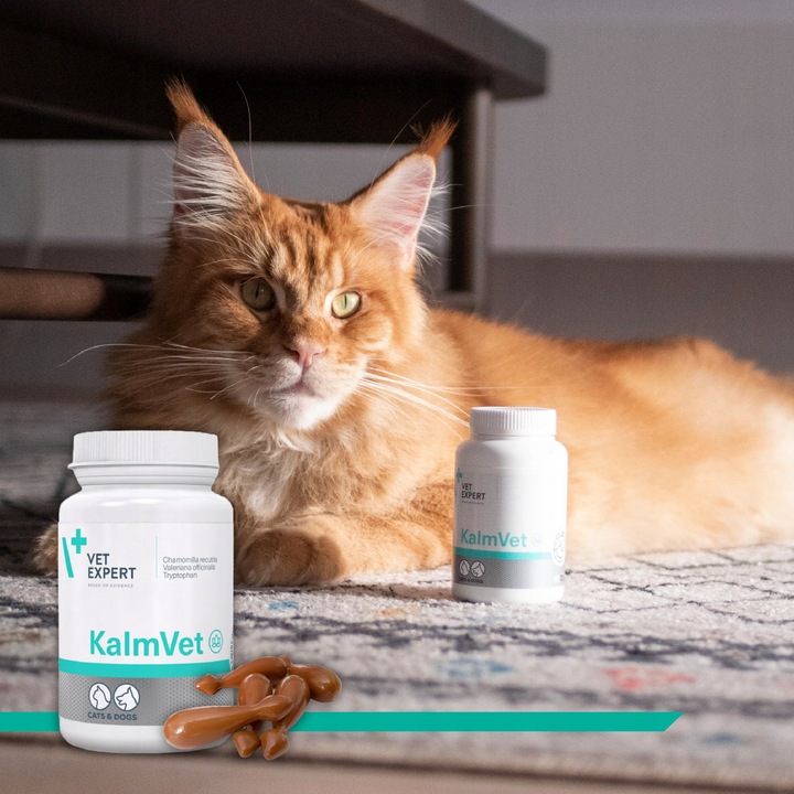 Preparat dla psów i kotów na stres Vet Expert Kalmvet 60 kapsułek twist-off