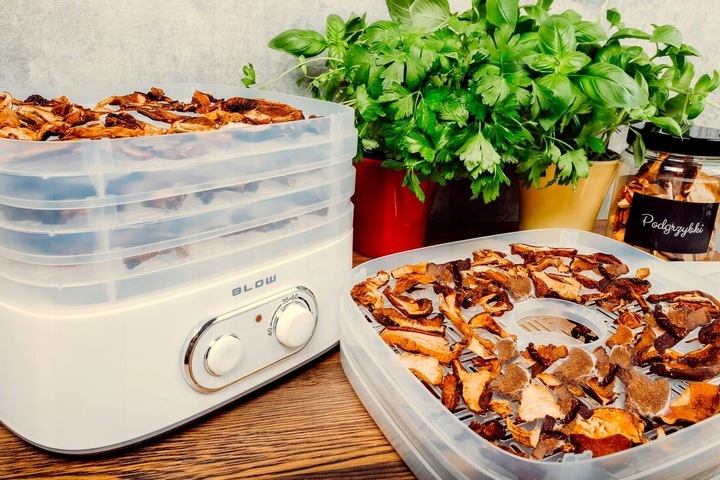 SUSZARKA DO GRZYBÓW OWOCÓW WARZYW RYB REGULACJA 5 SIT