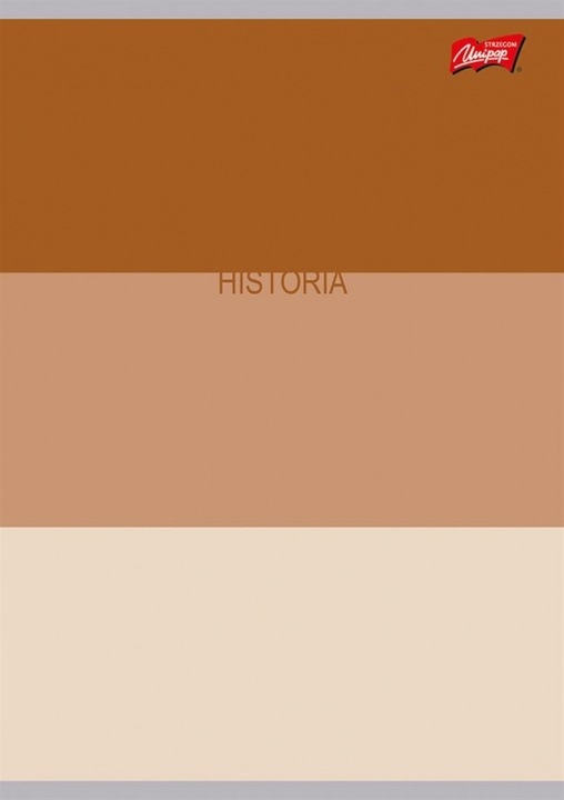 Zestaw Zeszyty Przedmiotowe A5 60k (ściąga) Color Stripes