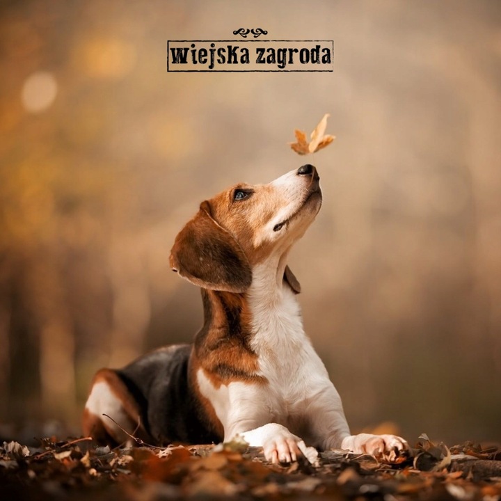 Wiejska Zagroda Karma sucha dla psa INDYK z JAGNIĘCINĄ Małe rasy S 20kg