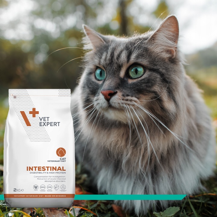 Sucha karma dla kotów wsparcie trawienia Vet Expert Intestinal 2 kg