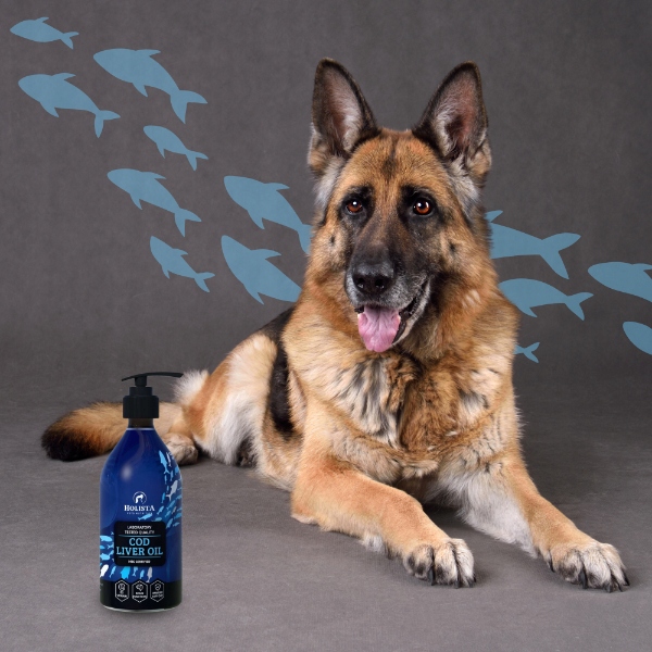 HOLISTA Tran z Dorsza 500ml Tran z watroby dorsza