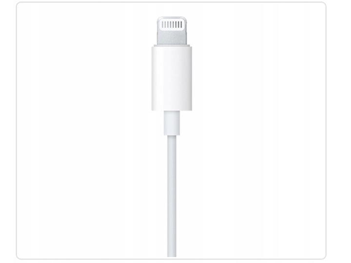 ORYGINALNE SŁUCHAWKI APPLE EARPODS LIGHTNING MMTN2ZM/A IPHONE XS 12 13 14