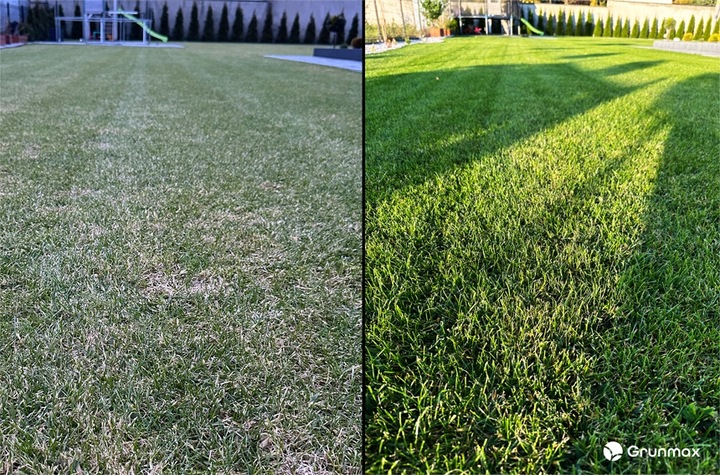 GRUNMAX - Green expert wiosenny nawóz do trawy, trawnika , PREMIUM 20kg