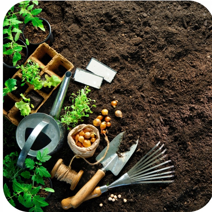 FruktoVit Plus Nawóz uniwersalny granulowany ogrodniczy 5kg ZDROWE ROŚLINY