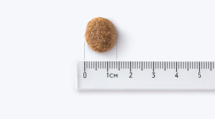 John Dog GOOD FORM ADULT Wieprzowina z Wołowiną 3kg Średnie i Duże Rasy