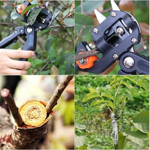 NOŻYCE SEKATOR do SZCZEPIENIA DRZEW KRZEWÓW WINOGRON OKULIZACJA + TAŚMA